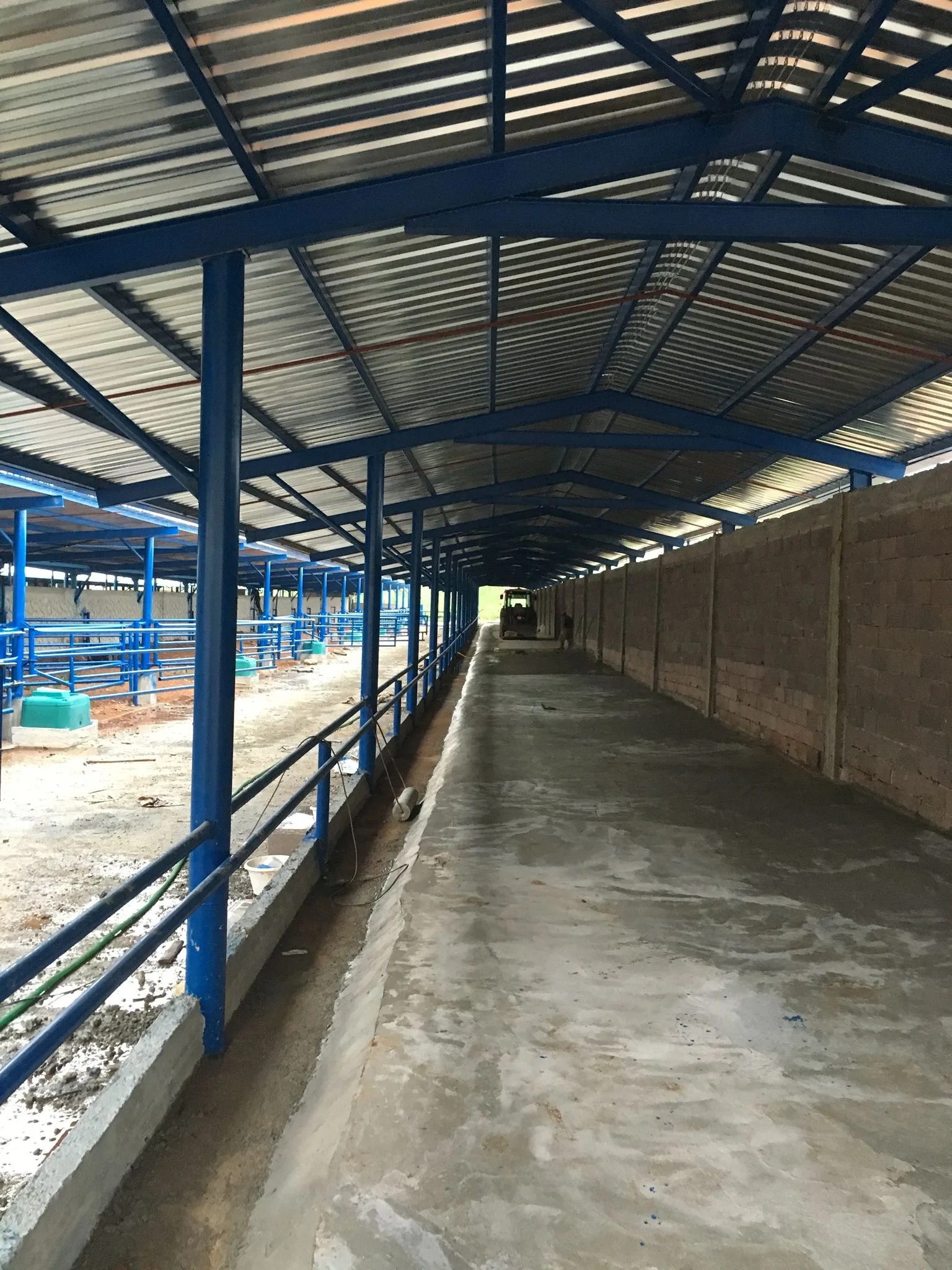 Hayvan Damı gerçek proje uygulaması