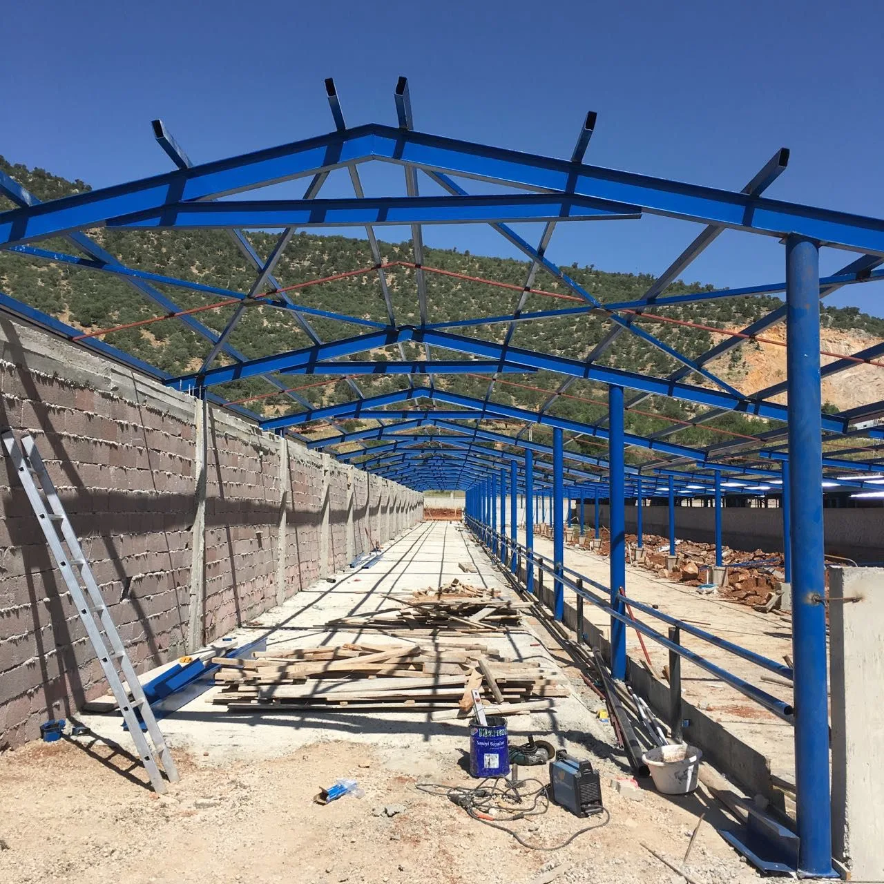 Hayvan Damı gerçek proje uygulaması