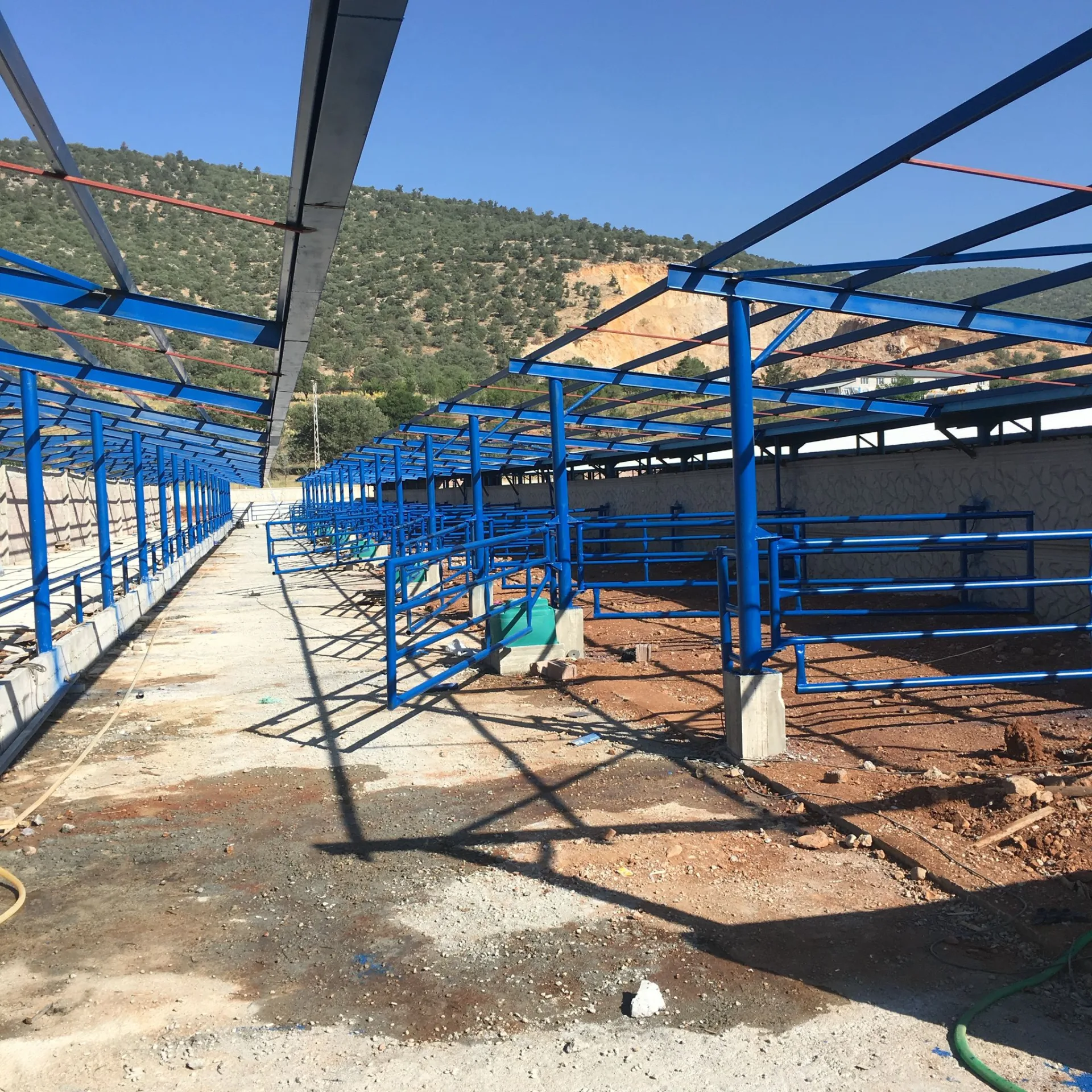Hayvan Damı gerçek proje uygulaması